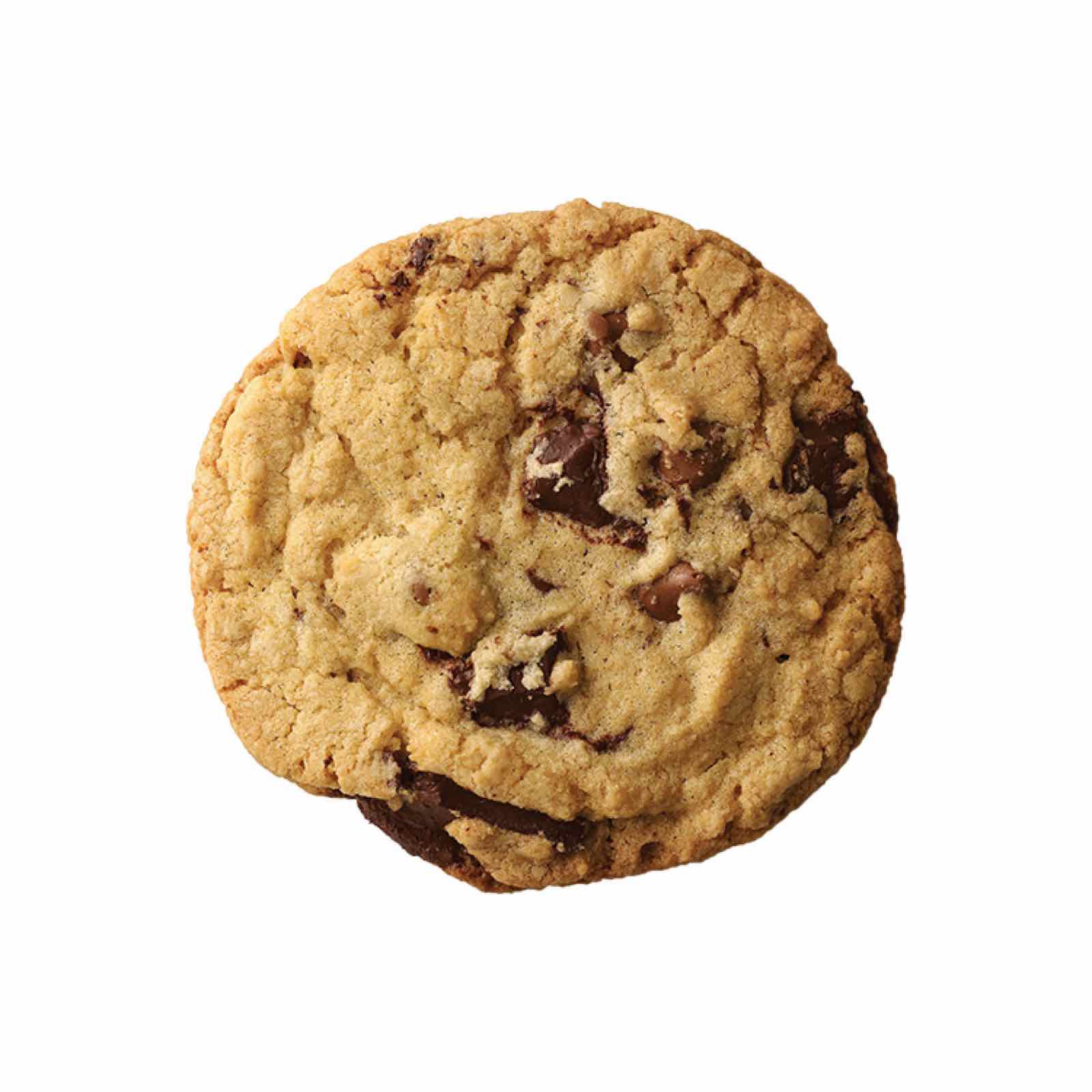 Freshly made chocolate chip cookie